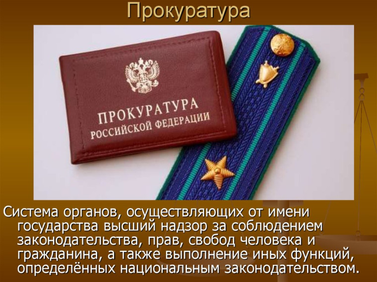 Прокуратурой Корочанского района проведена проверка соблюдения требований федерального законодательства в области обращения с животными без владельцев..